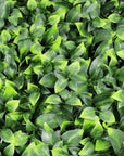 Jasmine Artificial Green Wall 40" x 40" 11SQ FT UV Resistant