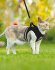 CozyCat Pet Harness and Leash