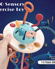 Sensory Development Baby Toys