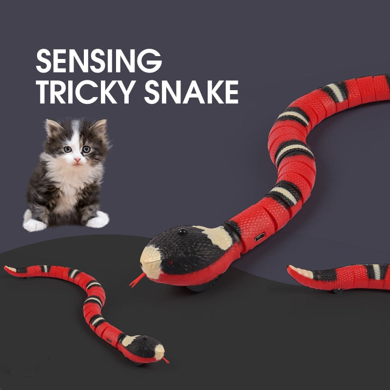 Electronic snake cat toys Automated cat playthings Motion-sensing cat toys Realistic snake toy for cats Automatic cat entertainment Interactive snake toy for felines Motorized cat plaything Engaging electronic cat toys Cat snake mimicry toy Automated feline entertainment
