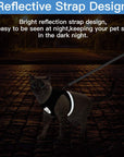 CozyCat Pet Harness and Leash