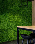 Lush Fern Artificial Green Wall 40" x 40" 11SQ FT UV Resistant