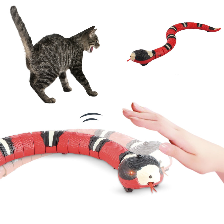 Electronic snake cat toys Automated cat playthings Motion-sensing cat toys Realistic snake toy for cats Automatic cat entertainment Interactive snake toy for felines Motorized cat plaything Engaging electronic cat toys Cat snake mimicry toy Automated feline entertainment