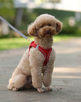 Harness Leash Set for Small Dogs