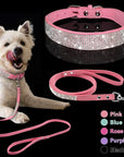 Pet Collar Leash Set