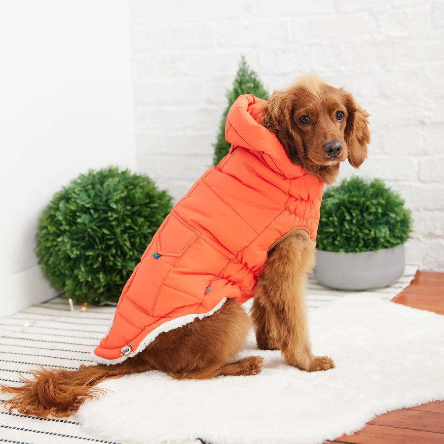 Super Puff Parka Orange winter jacket Insulated puffer coat Warm outerwear Stylish winter parka Cold weather essential Fashionable puffer jacket Cozy outer layer Women's winter coat Weather-resistant parka