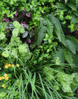 Sample Panel of Country Fern Artificial Vertical Garden (Small Sample) UV Resistant