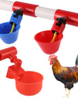 Chicken Water Cup