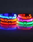 Flashing Glow Dog Collar