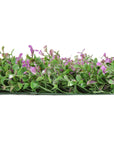 Artificial lavender wall panels Lifelike lavender foliage UV-resistant purple foliage Easy-to-install wall panels Maintenance-free lavender decor Indoor/outdoor lavender panels Vibrant purple foliage panels Long-lasting lavender wall decor Versatile artificial foliage panels Lavender-inspired wall covering