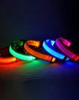 Flashing Glow Dog Collar