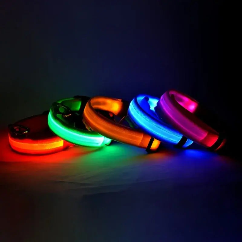 Flashing Glow Dog Collar