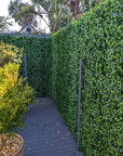 Jasmine Artificial Green Wall 40" x 40" 11SQ FT UV Resistant