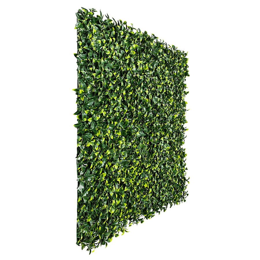 Sample Panel of Jasmine Artificial Green Wall (Small Sample) UV Resistant