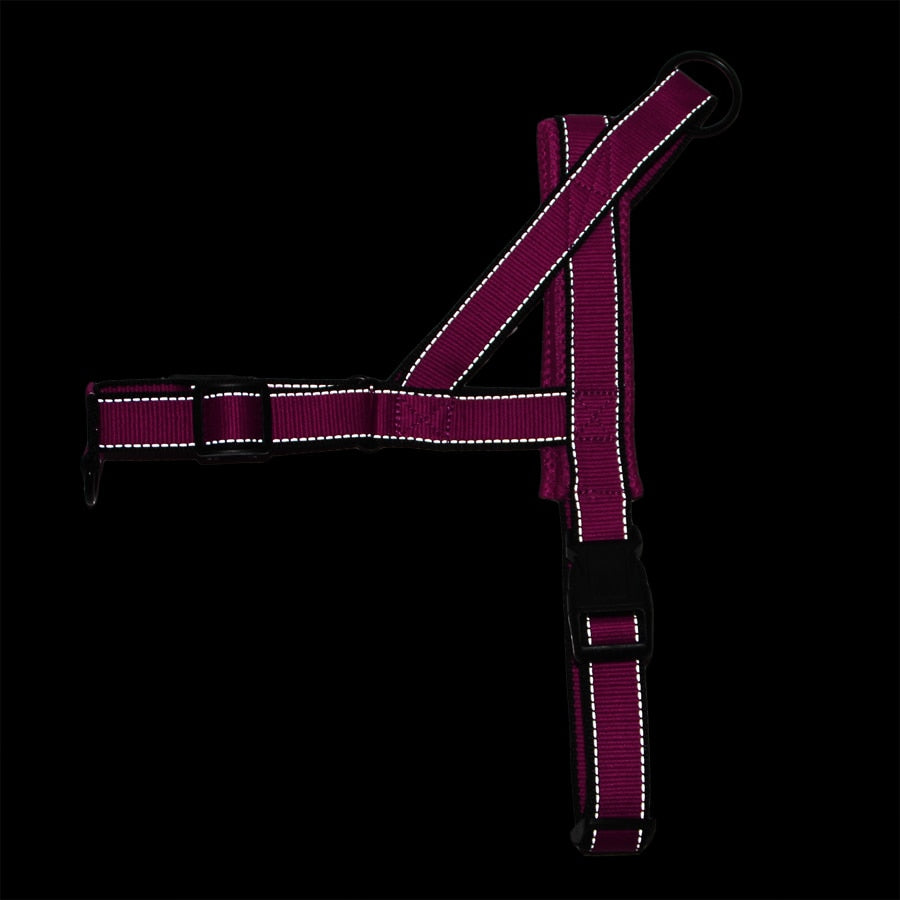 Comfortable dog harness Adjustable pet harness Secure dog walking harness Durable canine harness Pet safety harness Customizable dog harness Reliable dog control harness Adjustable strap pet harness Comfortable walking harness for dogs Stress-free dog walking solution