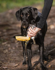 Pet Water Bottle