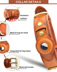 Leather Anti-Lost Dog Collar