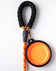 Premium Quality Nylon Leash