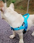 Comfortable dog harness Adjustable pet harness Secure dog walking harness Durable canine harness Pet safety harness Customizable dog harness Reliable dog control harness Adjustable strap pet harness Comfortable walking harness for dogs Stress-free dog walking solution