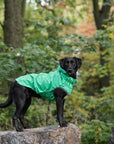 Reversible Elasto-Fit Raincoat - Green