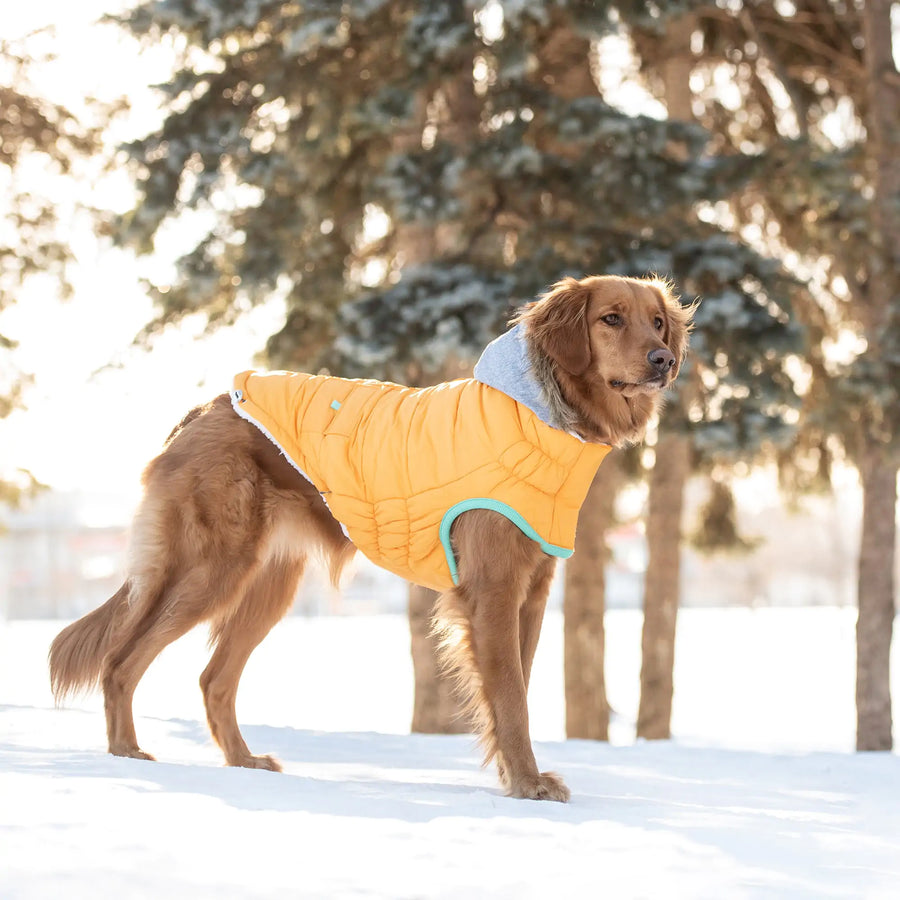 Winter sailor parka Yellow winter parka coat Sailor-style parka for cold weather Hooded winter jacket in yellow Warm and stylish winter outerwear Quilted parka coat for chilly days Insulated winter parka with hood Fashionable yellow parka for winter Cozy sailor-inspired parka jacket Cold weather sailor parka in yellow