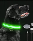 Glowing Dog Collar