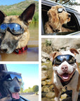 Dog eye protection Canine eyewear Pet goggles Adjustable dog glasses Doggy eye gear Puppy eyewear Dog sunnies Pet eye protection Adjustable dog shades Dog UV goggles