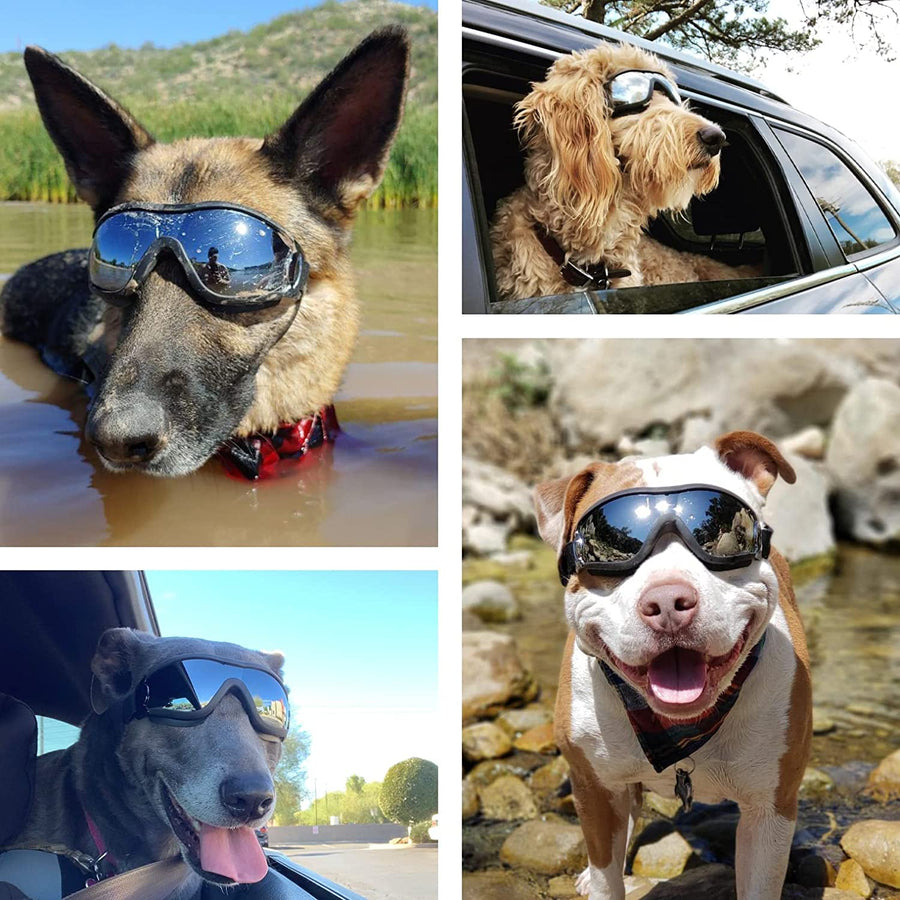 Dog eye protection Canine eyewear Pet goggles Adjustable dog glasses Doggy eye gear Puppy eyewear Dog sunnies Pet eye protection Adjustable dog shades Dog UV goggles