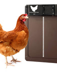 Automated chicken coop door Automatic poultry door opener Convenient coop door solution Programmable chicken door Hands-free coop management Smart chicken coop accessory Secure automatic door for chickens Customizable coop door opener Hassle-free poultry access Efficient chicken coop door system