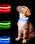 Luminous AirTag Collar