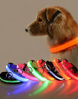 Flashing Glow Dog Collar