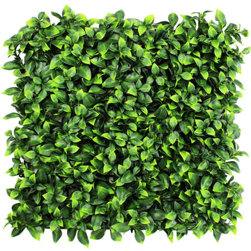 Jasmine Artificial Green Wall 40" x 40" 11SQ FT UV Resistant