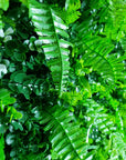 Wild tropics artificial vertical garden Faux vertical garden with wild tropics theme Artificial tropical wall panel with lush greenery Decorative vertical garden featuring wild tropics accents Synthetic vertical garden with vibrant tropical plants Wild tropics artificial green wall for indoor and outdoor decor Tropical-inspired artificial greenery wall with lush foliage Faux vertical garden panel adorned with wild tropics motifs Wild tropics artificial plant wall for home and event decor S