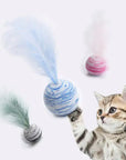 Cat Toy Feather Ball